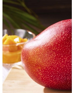 〈EJ Premier Fruits〉【特選／最上級・高糖度15度以上】宮崎県 JAみやざき宮崎中央地区本部産 完熟マンゴー 太陽のタマゴ 5L (650g以上) 桐箱入