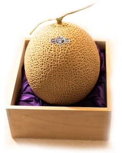 〈EJ Premier Fruits〉【特選／最上級ランク】静岡県温室農業協同組合産 マスクメロン (クラウンメロンまたはアローマメロン) S玉 (約1.3kg) 桐箱入
