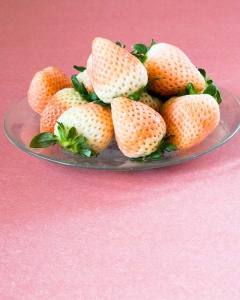 〈EJ Premier Fruits〉静岡県産 いちご・初恋の香り