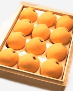 〈EJ Premier Fruits〉千葉県産 房州びわ 2L (12粒) 桐箱入