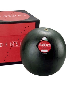 〈EJ Premier Fruits〉【特選】北海道産でんすけすいか 4L (約9kg)