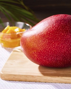 〈EJ Premier Fruits〉【超特選／最上級ランク・高糖度17度以上】沖縄県 ファインフルーツおおぎみ産 完熟マンゴー5L  (約650g)