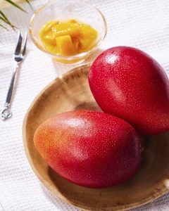 〈EJ Premier Fruits〉【特選／高糖度15度以上】沖縄県 ファインフルーツおおぎみ産 完熟マンゴー4L (約500g)×2