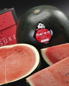 〈EJ Premier Fruits〉【特選／最上級ランク】北海道産でんすけすいか 6L (約11kg) 