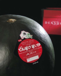 〈EJ Premier Fruits〉【特選／最上級ランク】北海道産でんすけすいか 5L (約10kg)
