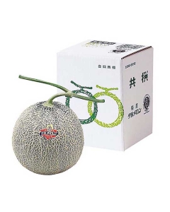 〈EJ Premier Fruits〉北海道産 夕張メロン【共選/秀】(約2kg)