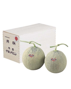 〈EJ Premier Fruits〉北海道産 夕張メロン【特秀】(1.5kg) 2玉 桐箱入り