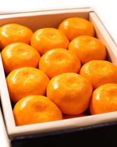 〈EJ Premier Fruits〉JAからつ 佐賀県産 唐津温室みかん 1.8kg (21～24個)
