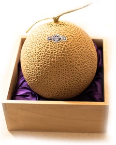 〈EJ Premier Fruits〉【特選／最上級ランク】静岡県温室農業協同組合産 マスクメロン S玉 (約1.3kg) 桐箱入