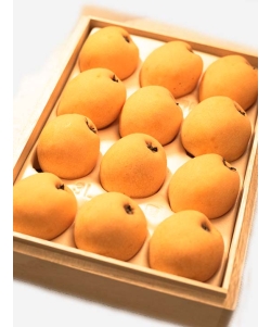 〈EJ Premier Fruits〉千葉県産 房州びわ 3L (大粒12粒) 桐箱入