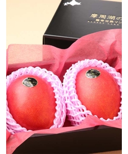 〈EJ Premier Fruits〉【特選／最上級ランク】北海道産 極寒完熟マンゴー「摩周湖の夕日」3L (約450g)×2