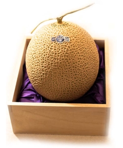 〈EJ Premier Fruits〉【特選／最上級ランク】静岡県温室農業協同組合産 マスクメロン (クラウンメロンまたはアローマメロン) S玉 (約1.3kg) 桐箱入
