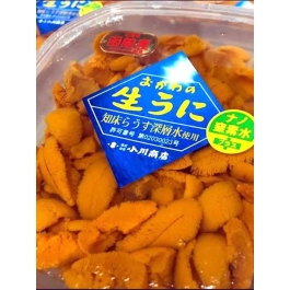 〈北海道／小川商店〉おがわの生うに 赤ウニ 【塩水/100g】2個